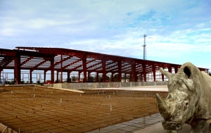 Steel warehouse going up in Texas.