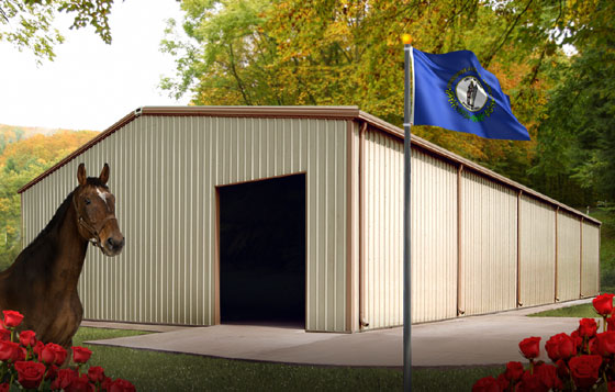 Thoroughbred horse stands before a steel barn in Kentucky