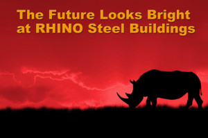 A grazing rhino silhouetted against a unset, with the headline "The Future Looks Bright at RHINO Steel Buildings"