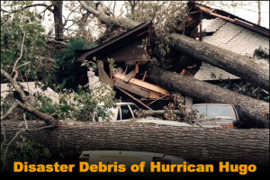 Photo of a house destroyed by falling trees in Hurricane Hugo