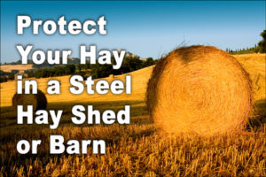 Photo of round hay bales in a field.