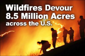 firefighters on a hill are silhouetted against a blazing wildfire