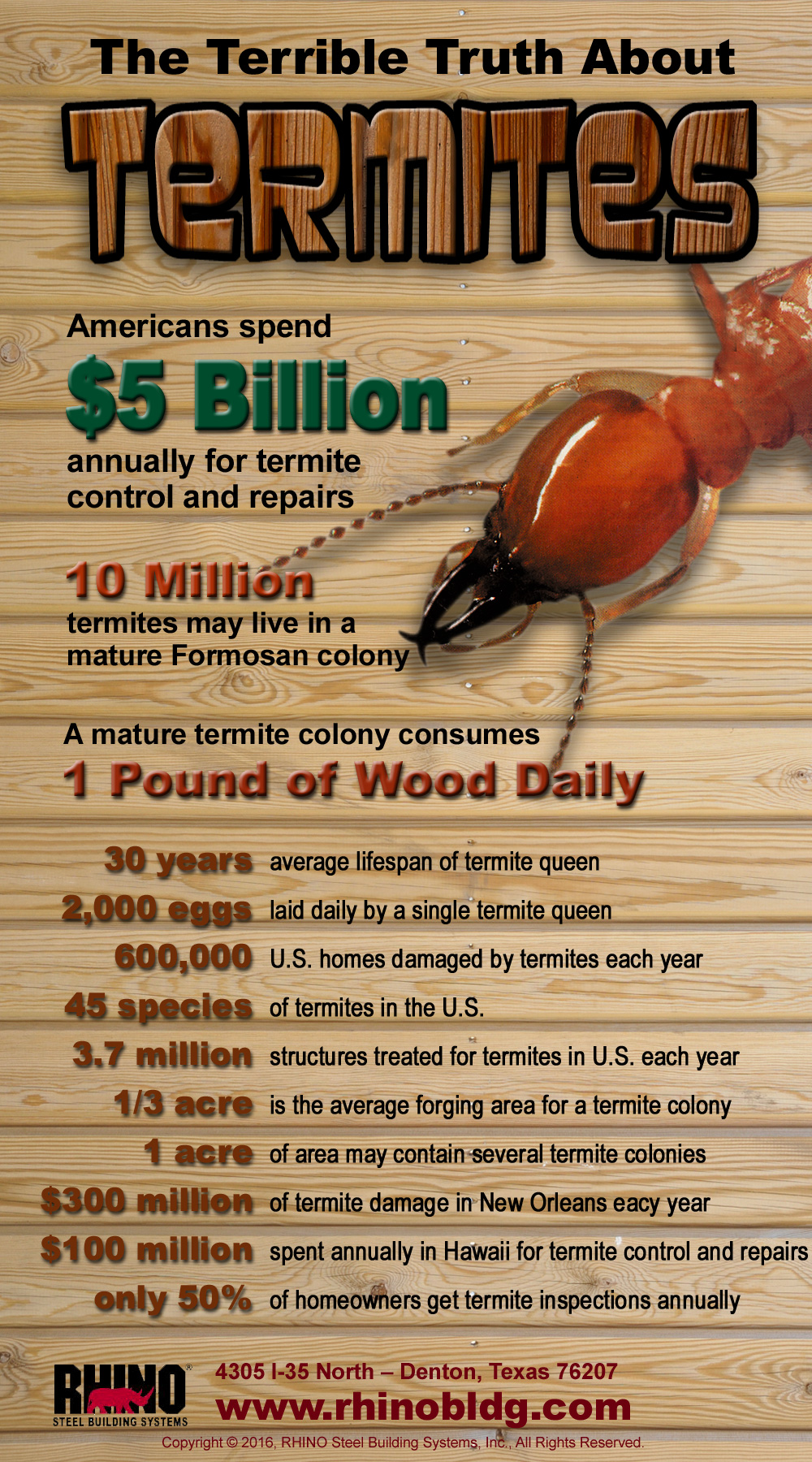 Discover The Truth: Do Roaches Eat Termites?